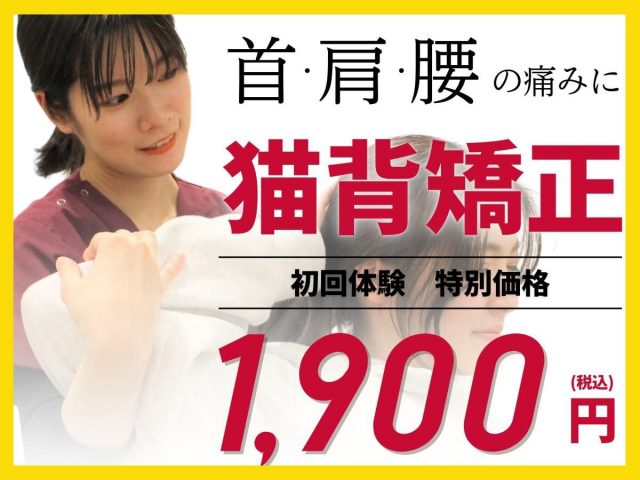 骨盤矯正を初回特別価格で予約する